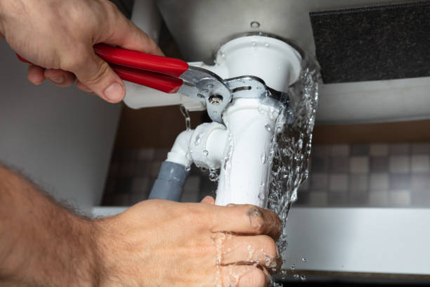 Best Water damage restoration near me  in Mirrormont, WA