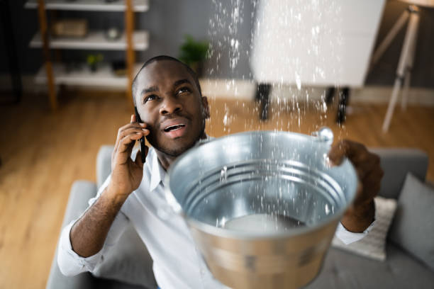 Water damage restoration mold remediation in Mirrormont, WA
