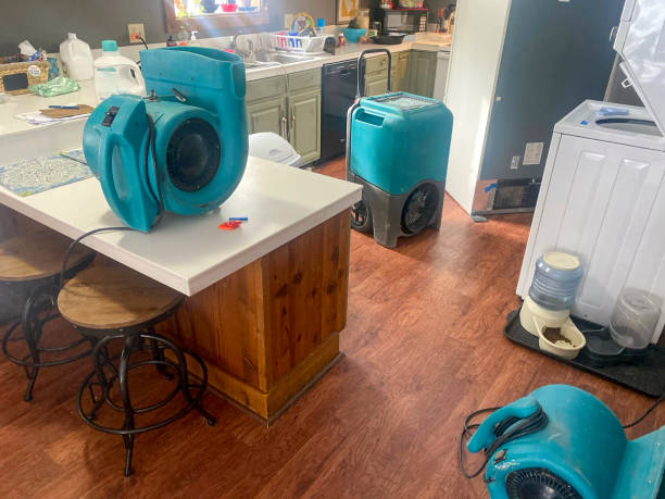 Best Basement water damage restoration  in Mirrormont, WA