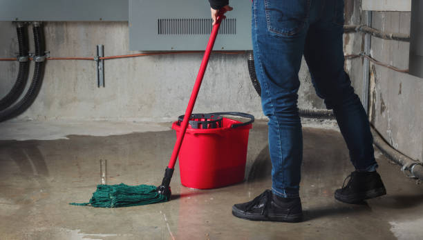 Best Water damage restoration mold remediation  in Mirrormont, WA