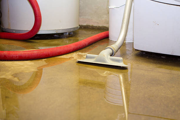 Best Professional water damage repair  in Mirrormont, WA