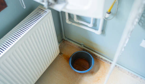 Best Residential water damage restoration  in Mirrormont, WA
