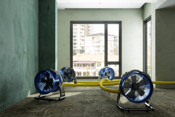 Best Fire Damage Restoration  in Mirrormont, WA